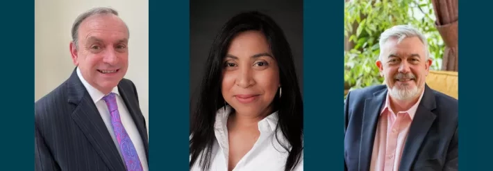 The IMI's Executive Team